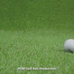 PGM 3-Layer Tournament Golf Ball
